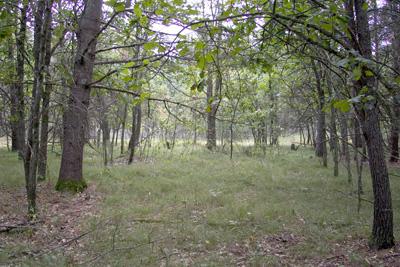 Invest In Central Wisconsin Land Today