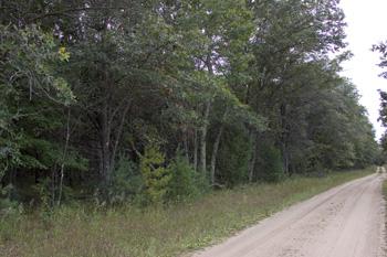 wooded getaway homesite in dell prairie township