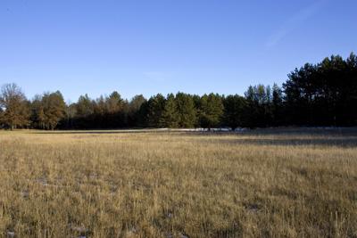 Central Wisconsin Hunting Land For Sale