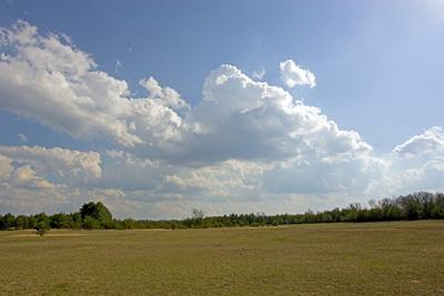 Camp or build on 13 acre wooded waterfrontage