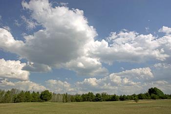 Photo Of Waterfront Acreage On Private Pond