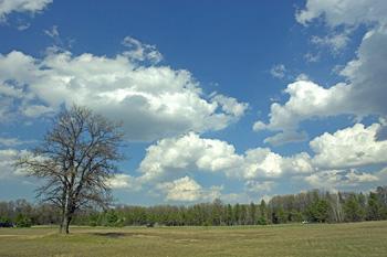 Adams County Land For Sale In Colburn Township