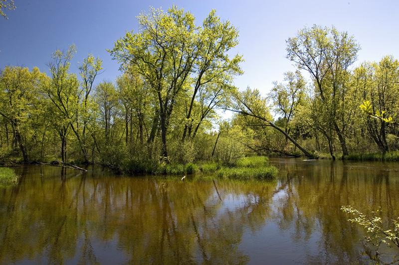 Enjoy part ownership of a nature conservancy