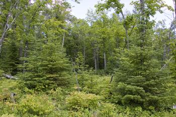 Rural Land With A Variety Of Topography
