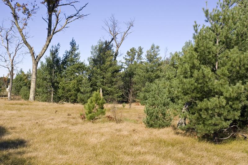 Explore 5 Acres With Deeded Lake Access