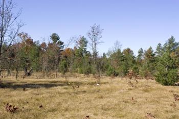 Includes Access To Easton Shores Lake