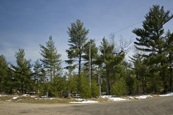 Paved Road Access Gives Convenience To Property