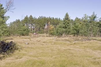 Beautiful Access To Property From 600 Ft Of Paved Road