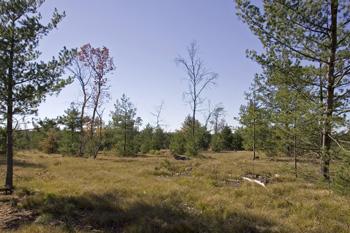 Additional Acreage Available On Easton Shores Lake