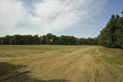6 Acre Meadow Surrounded By Mature Trees