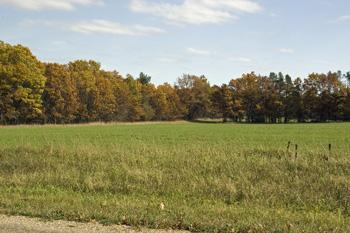 Start An Organic Farm on 6 acres