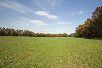 Breathtaking Vacationland For Sale In Adams County