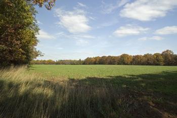 Buildable Private Land W/ Access To Easton Shores Lake