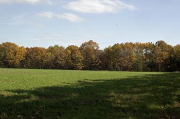 Includes Paved Road Access To Lot On Culdesac