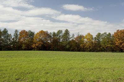 6 Acres Of Tillable Farmland For Sale