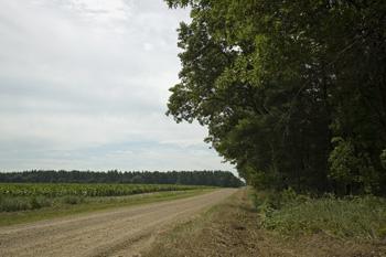 Just A Drive Over To Lake Petenwell!