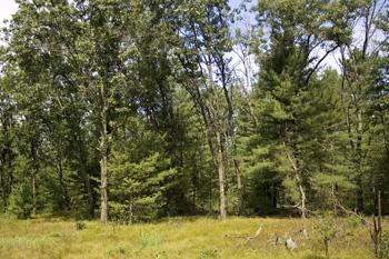 Wooded Deeded Access To Easton Shores Lake