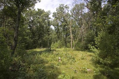 Fully Wooded Property Near Wisconsin River System