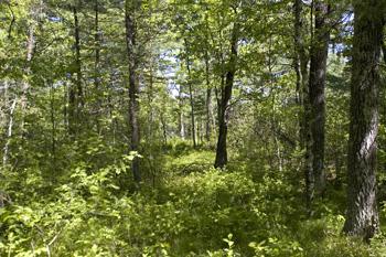 Build your Dream Home in Central Wisconsin