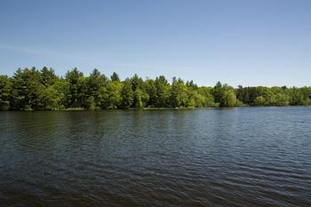 Castle Rock Lake Frontage