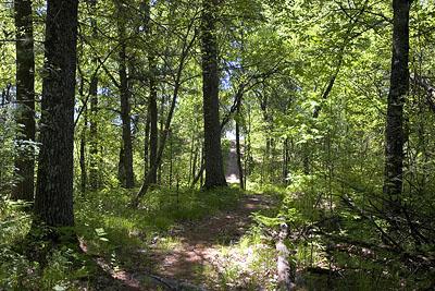 Castle Rock Lake Lot for Sale