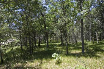 Take A Drive Over To Castle Rock Lake