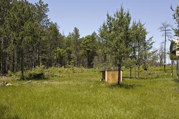 Level Wooded Lot On Almost 2 Acres