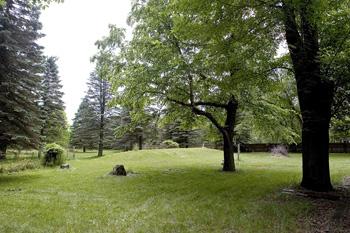 Beautiful Yard With Room To Move
