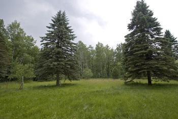 Secluded Getaway by ATV & snowmobile routes