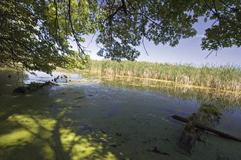 Castle Rock Lake Waterfront Property