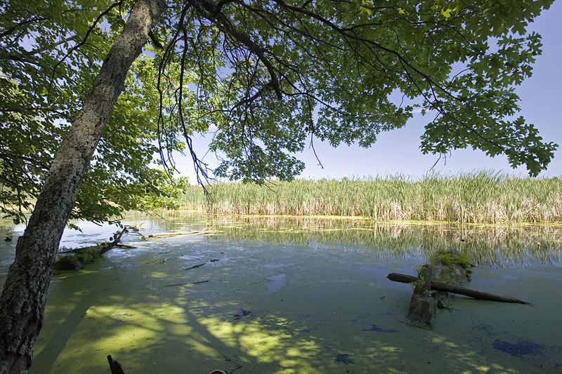 Enjoy Lake Frontage On Wisconsin's 2nd Largest Lake