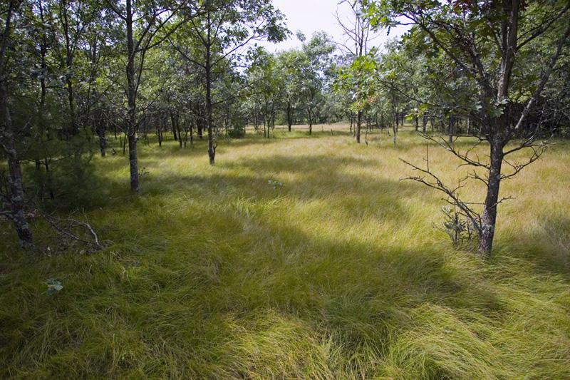4 Acres With Access To Easton Shores Lake