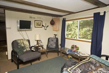 Cozy Living Room With Large Window