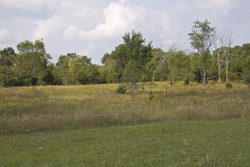 4 acres with paved frontage on major state highway