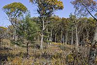 Buy Wisconsin Land