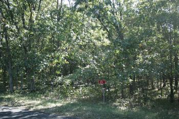 Located On Quiet Culdesac Adjoining Nature Conservancy