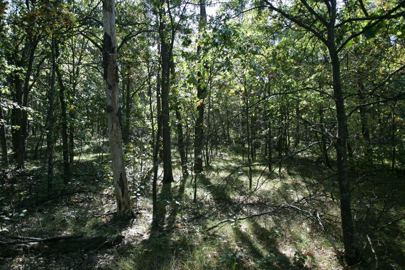 wooded half acre lot with deeded lake access
