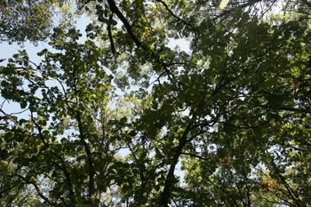 Enjoy Peace & Serenity In Central Wisconsin