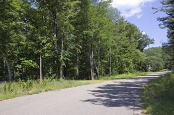 Beautiful Paved Road Access To Buildable Lot