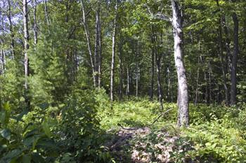 Land Contract Available To Qualified Buyer