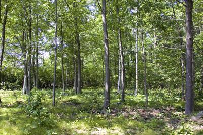 Affordable Land For Sale On Wadley Lake
