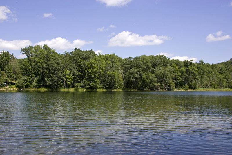 Walk Down & Fish In The 46 Acre Lake