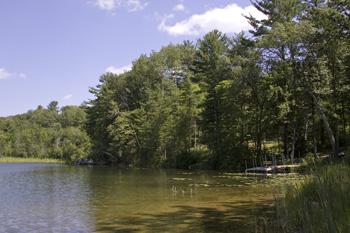 Marathon County Waterfront Property For Sale