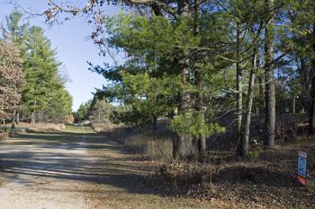 Easy Paved Road Access To Wooded Property