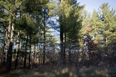 Almost 8 Acres Of Quality Central Wisconsin Land For Sale