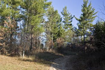 Drive Over To Adams County Wi Recreational Fun