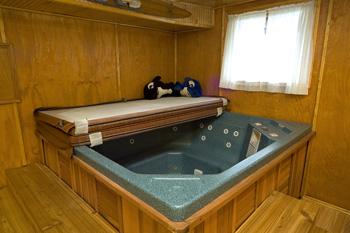 Includes 6 Person Jacuzzi Hot Tub!