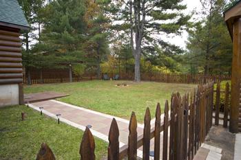 Beautiful Fenced In Back Yard Perfect For Pets!