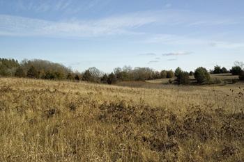 Wooded Acreage Within 15 Minutes Of Wisconsin Dells