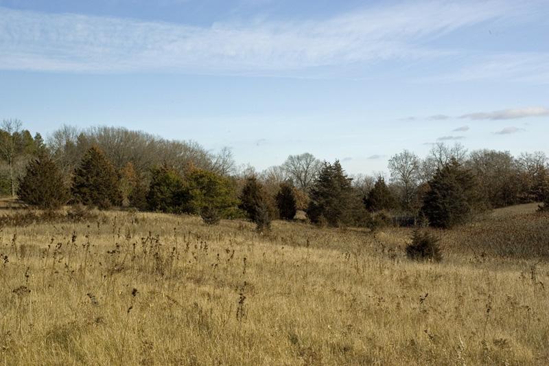 32 Acres Part Pasture Part Mature Woods